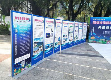 仙游KT板的种类和知识。